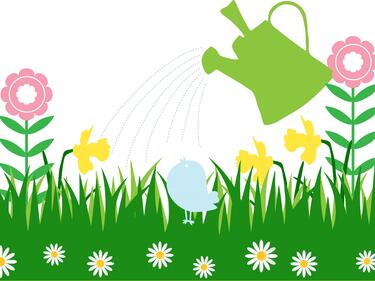 watering can