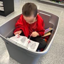 Reading in a cozy tote